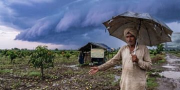 ગુજરાતમાં વેસ્ટર્ન ડિસ્ટર્બન્સ સક્રિય, આગામી 24 કલાક કમોસમી વરસાદની આગાહી, જાણો કયા જિલ્લામાં પડશે મ…