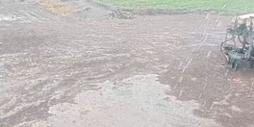 માવઠાંથી ખેડૂતોની માઠીઃ ઘઉં, ચણા, ધાણા, જીરૂ સહિતના પાક પર સંકટ | Farmers’ pain from drought: Crops …