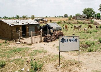 રાજકોટ જિલ્લામાં ગૌચર જમીનોમાં 511 દબાણો, અમુક 32 વર્ષ જૂના ! | 511 encroachments on grazing lands i…