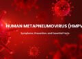 અમેરિકામાં નવો રોગચાળો : HMPV વાયરસ : તે પહેલાં સામાન્ય શરદી જેવો જ લાગે છે પછી ભયંકર બને છે | New p…