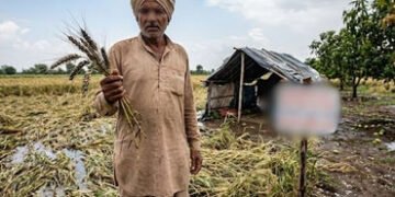 ગુજરાતના ખેડૂતોને આર્થિક ફટકો: ઘઉં-ચણાના પાકને નુકસાન, કેસર કેરીને પણ ખતરો | Gujarat Farmers Hit Har…