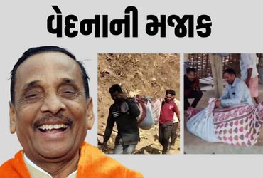 ‘ટેકરા પર મકાન હોય તો થોડી એમ્બ્યુલન્સ જાય?’, સગર્ભાને ઝોળીમાં લઈ જવા મુદ્દે ભાજપ ધારાસભ્યની અસંવેદન…