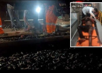 વડોદરા: કરચિયા રેલવે યાર્ડમાં એન્જિનની કામગીરી દરમિયાન કર્મચારીને કરંટ લાગ્યો, હાલત ગંભીર | Vadodara…