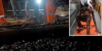 વડોદરા: કરચિયા રેલવે યાર્ડમાં એન્જિનની કામગીરી દરમિયાન કર્મચારીને કરંટ લાગ્યો, હાલત ગંભીર | Vadodara…