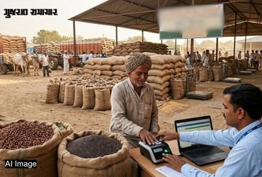 ગુજરાતમાં આવતીકાલથી ચણા અને રાયડાની ટેકાના ભાવે ખરીદી શરૂ, જાણો ખેડૂતો માટે શું છે નવી વ્યવસ્થા? | g…