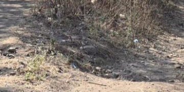 સંખેડાના ભાજપના ધારાસભ્યનો જાહેરમાં બફાટ આદિવાસીઓને કહ્યું, તમે ટેકરા પર રહો છો, અમારો તેમાં કોઇ વાં…