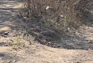 સંખેડાના ભાજપના ધારાસભ્યનો જાહેરમાં બફાટ આદિવાસીઓને કહ્યું, તમે ટેકરા પર રહો છો, અમારો તેમાં કોઇ વાં…