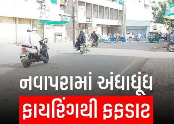 શહેરના નવાપરામાં માથાકુટ, શખ્સોએ 2 રાઉન્ડ ફાયરિંગ કર્યું | શહેરના નવાપરામાં માથાકુટ શખ્સોએ 2 રાઉન્ડ …