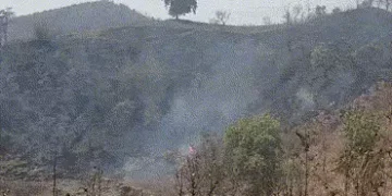 નસવાડી: નારધાના જંગલોમાં ભીષણ આગ, હજારો વૃક્ષો બળીને ખાખ, વન વિભાગની નિષ્ક્રિયતા સામે રોષ | Naswadi …