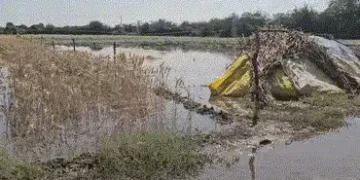 બનાસકાંઠા: સુઈગામના કોરેટીમાં કેનાલ તૂટતા 40 વીઘાના પાક પર પાણી ફરી વળ્યા, તંત્રની બેદરકારીથી ખેડૂતો…