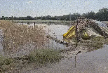 બનાસકાંઠા: સુઈગામના કોરેટીમાં કેનાલ તૂટતા 40 વીઘાના પાક પર પાણી ફરી વળ્યા, તંત્રની બેદરકારીથી ખેડૂતો…