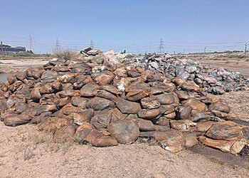 બગોદરામાં ભોગાવો નદીમાં કેમિકલ વેસ્ટ ઠાલવનાર ટ્રક ચાલકની અટકાયત | Truck driver arrested for dumping …