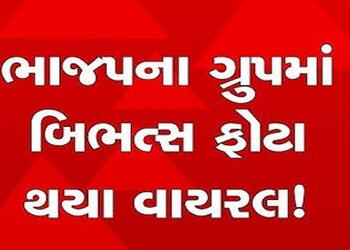 જૂનાગઢ ભાજપનાં વોટ્સએપ ગ્રુપમાં કાર્યકરે બિભત્સ લિન્ક મુકતાં વિવાદ | Controversy as worker posts obs…