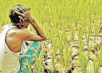 વડોદરા જિલ્લામાં ખેડૂતોને નુકસાન થયું જ નથી, તંત્રએ હાથ ઉંચા કરી દીધા | Farmers in Vadodara district…