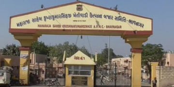 ભાવનગર માર્કેટીંગ યાર્ડમાં કાલથી 6 દિવસનું મીની વેકેશન જાહેર | 6 day mini vacation announced in Bhav…