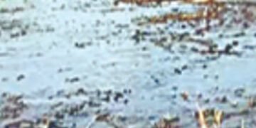 સાંકરદા-ભાદરવારોડ પર આવેલ રાણીયા ગામની સીમમાં ખેતરમાં ઝેરી કેમિકલ રાત્રે ઠલવાતા રોષ | Outrage as tox…