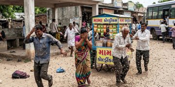 VIDEO: ધારીના દેવળા ગામે બસ સ્ટેન્ડ પાસે બેઠેલા 6 લોકો પર મધમાખીના ઝુંડનો અચાનક હુમલો, તમામને હોસ્પિ…