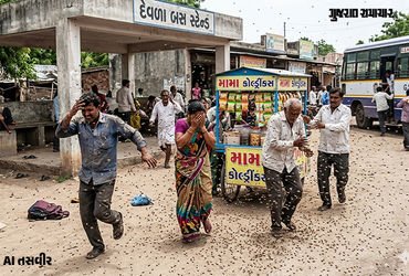 VIDEO: ધારીના દેવળા ગામે બસ સ્ટેન્ડ પાસે બેઠેલા 6 લોકો પર મધમાખીના ઝુંડનો અચાનક હુમલો, તમામને હોસ્પિ…