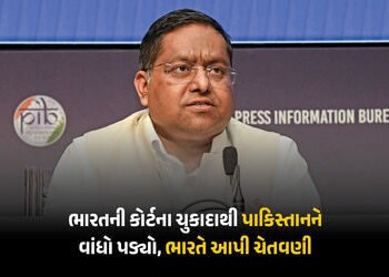 ભારતની કોર્ટના ચુકાદા પર ટિપ્પણી કરવી પાકિસ્તાનને ભારે પડી, ભારતે આપ્યો જડબાતોડ જવાબ | India Slams P…