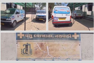 છોટા ઉદેપુર: સરકારી ઉદાસીનતાને કારણે 20 પશુ એમ્બ્યુલન્સ 8 મહિનાથી ધૂળ ખાઈ રહી છે, પશુપાલકો બેહાલ | 2…
