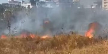 સયાજીગંજ પરશુરામ ભઠ્ઠાની જમીનમાં ઝાડીઓમાં આગ | fire breaks out in the bushes of a plot in sayajigunj