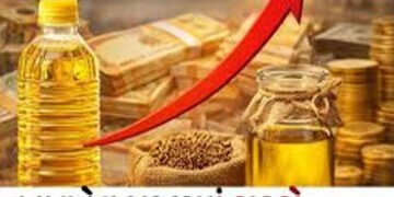 વિક્રમી પાકનો લાભ તો દૂર ઉલ્ટુ મોંઘવારી, સિંગતેલ 3000ને પાર | The benefits of record crops are far f…