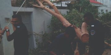 હાલારના બંને જિલ્લામાં ફૂંકાયેલા વાવાઝોડાના કારણે વીજ તંત્રને થયેલી નુકસાની બાદ તમામ ગામોમાં વીજ પુર…