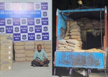 પંચમહાલ LCBની મોટી કાર્યવાહી, મકાઈની બોરીઓની આડમાં લઈ જવાતો લાખનો વિદેશી દારૂ ઝડપાયો | Panchmahal LC…