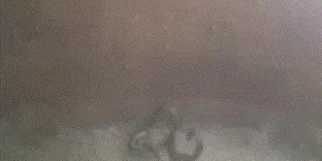 સાવધાન! ગાંધીનગરના મગોડીમાં પાણીની ટાંકી બની સરીસૃપોનો અડ્ડો: 1 મૃત, 5 જીવતા સાપ અને 3 ઘો નીકળતા ફફડ…