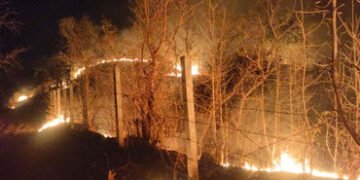 નસવાડીના કુકરદા જંગલમાં મધરાતે ભીષણ આગ: વન વિભાગ અને ગ્રામજનોએ એર ગનથી મેળવ્યો કાબૂ | naswadi kukard…