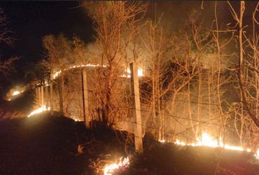 નસવાડીના કુકરદા જંગલમાં મધરાતે ભીષણ આગ: વન વિભાગ અને ગ્રામજનોએ એર ગનથી મેળવ્યો કાબૂ | naswadi kukard…