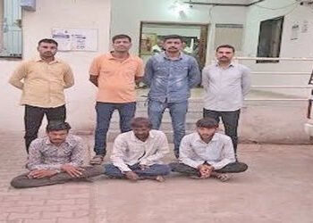 ખાનગી કંપનીમાંથી સોલાર પેનલની ચોરી કરનાર 3 તસ્કર ઝડપાયા | 3 smugglers arrested for stealing solar pa…