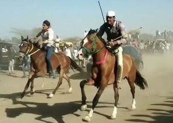 જામનગરના મસીતીયામાં પરંપરાગત ઘોડા રેસ યોજાઈ, ‘જલાલી 1616’ નામનો ઘોડો પ્રથમ નંબરે આવ્યો | Traditional…