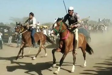 જામનગરના મસીતીયામાં પરંપરાગત ઘોડા રેસ યોજાઈ, ‘જલાલી 1616’ નામનો ઘોડો પ્રથમ નંબરે આવ્યો | Traditional…