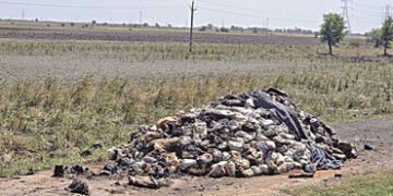 બગોદરા-શિયાળ રોડ પર જોખમી કેમિકલ કચરો ફેંકાતા રહીશોમાં રોષ | Residents angered over hazardous chemic…