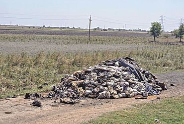 બગોદરા-શિયાળ રોડ પર જોખમી કેમિકલ કચરો ફેંકાતા રહીશોમાં રોષ | Residents angered over hazardous chemic…