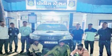 પશુ ચોર ટોળકીના 3 આરોપીઓ 4.56 લાખની મત્તા સાથે ઝડપાયા | 3 accused of cattle theft gang arrested with…