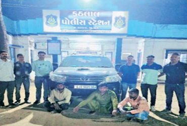 પશુ ચોર ટોળકીના 3 આરોપીઓ 4.56 લાખની મત્તા સાથે ઝડપાયા | 3 accused of cattle theft gang arrested with…