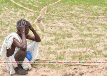 વડોદરામાં હવામાનમાં પલટો આવતાં ખેડૂતોની ચિંતા વધી,કેરી અને ફળોના પાકને નુકસાન થશે | Farmers worried …