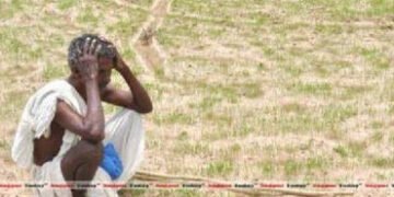 વડોદરામાં હવામાનમાં પલટો આવતાં ખેડૂતોની ચિંતા વધી,કેરી અને ફળોના પાકને નુકસાન થશે | Farmers worried …