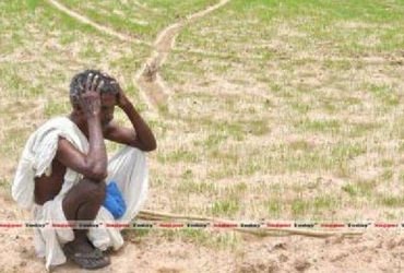 વડોદરામાં હવામાનમાં પલટો આવતાં ખેડૂતોની ચિંતા વધી,કેરી અને ફળોના પાકને નુકસાન થશે | Farmers worried …