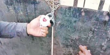 25 લાખનો ટેક્સ નહીં ભરતા એક જ માલિકની 7 મિલકત સીલ કરી | 7 properties of the same owner sealed for no…