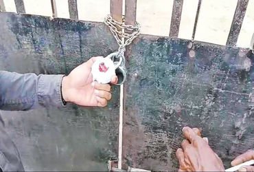 25 લાખનો ટેક્સ નહીં ભરતા એક જ માલિકની 7 મિલકત સીલ કરી | 7 properties of the same owner sealed for no…