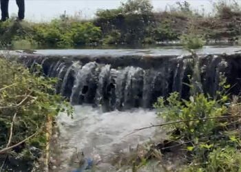 હળવદમાં નર્મદાની કેનાલમાં ગાબડું ઃ હજારો લિટર પાણીનો વેડફાટ | Gap in Narmada canal in Halvad: Thousa…