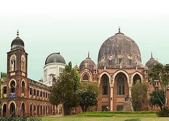 યુનિ.માં હંગામી અધ્યાપકોની ભરતી પ્રક્રિયા માટે પણ નોટિફિકેશન જાહેર | msu publish notification for re…