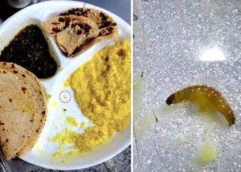 અમદાવાદ: બાપુનગર સ્થિત ESIC સંચાલિત હોસ્પિટલમાં ગંભીર બેદરકારી, ખીચડીમાં જીવાત મળતા હોબાળો | ESIC ru…