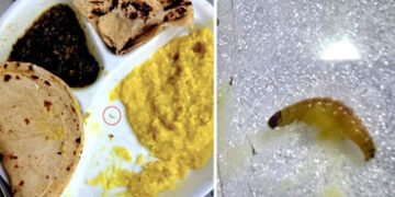 અમદાવાદ: બાપુનગર સ્થિત ESIC સંચાલિત હોસ્પિટલમાં ગંભીર બેદરકારી, ખીચડીમાં જીવાત મળતા હોબાળો | ESIC ru…