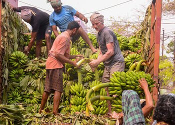મિડલ ઈસ્ટ યુદ્ધને કારણે ફ્રૂટ ઉદ્યોગ પણ સંકટમાં, જુઓ ઈરાન સાથે કઈ-કઈ વસ્તુની આયાત-નિકાસ બંધ | middle…