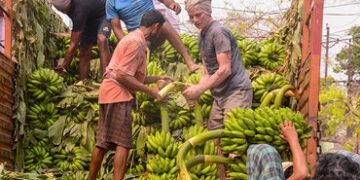 મિડલ ઈસ્ટ યુદ્ધને કારણે ફ્રૂટ ઉદ્યોગ પણ સંકટમાં, જુઓ ઈરાન સાથે કઈ-કઈ વસ્તુની આયાત-નિકાસ બંધ | middle…