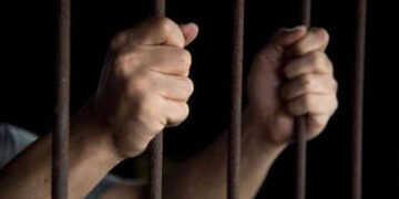 એસબીઆઈ સાથે રૂ. 1.35 કરોડની છેતરપિંડી આચનારા 6 જેલહવાલે | 6 jailed for defrauding SBI of Rs 1 35 cro…